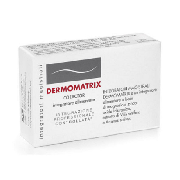 DERMOMATRIX integratori magistrali, 20 ks