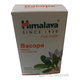 Himalaya Bacopa