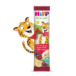 HiPP BIO Ovocná tyčinka Banán-Višňa-Jogurt 1x23g