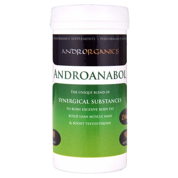 Androrganics Androanabol 90g