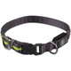 Obojok Dog Fantasy USB LED nylonový svietiaci M-L zelený 2,5x45-65cm