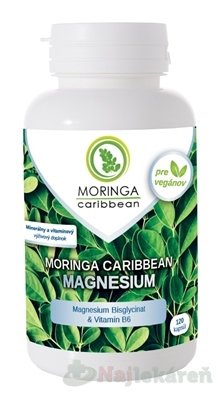 E-shop MORINGA Moringa Caribbean MAGNESIUM, 120ks