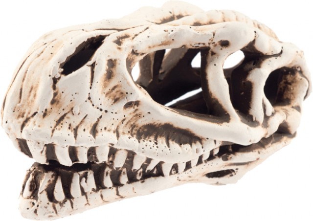 AQUA NOVA akváriová dekorácia Lebka dinosaura 14 cm
