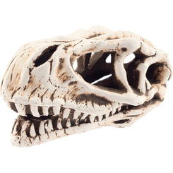 AQUA NOVA akváriová dekorácia Lebka dinosaura 14 cm