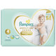 PAMPERS Nohavičky plienkové Premium Care Pants 4 MAXI 9-14kg 38ks