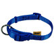 Obojok BAF nylon modrý 1,5x30-50cm