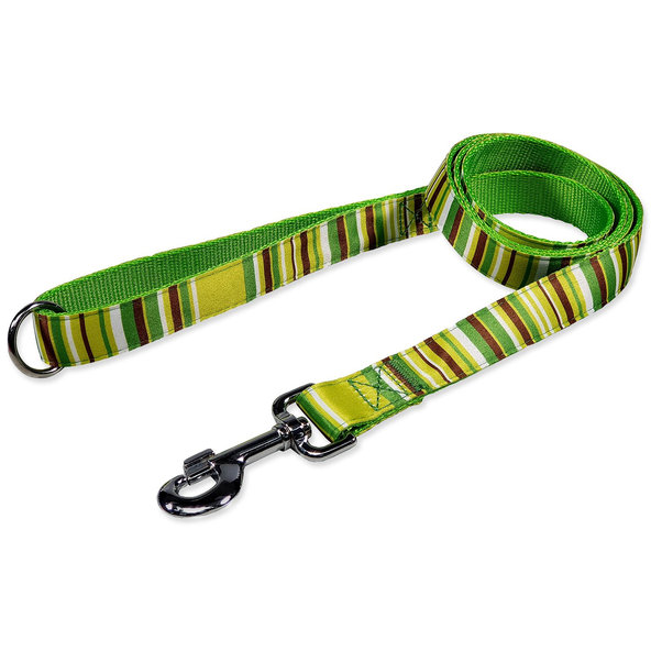 Vodítko BAF nylon prúžžky zelené 2,5x150cm