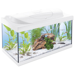Akvarijný set Tetra Starter Line LED biely 60x30x30cm 54l