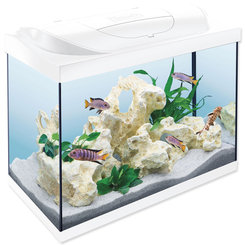 Akvarijný set Tetra Starter Line LED biely 61x32x51cm 80l