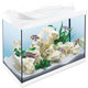 Akvarijný set Tetra Starter Line LED biely 61x32x51cm 80l