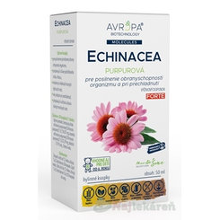 AVROPA Echinacea purpurová bylinné kvapky 50ml