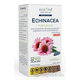 AVROPA Echinacea purpurová bylinné kvapky 50ml