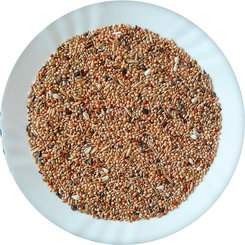 Avicentra drobný Exot Premium zmes 20 kg