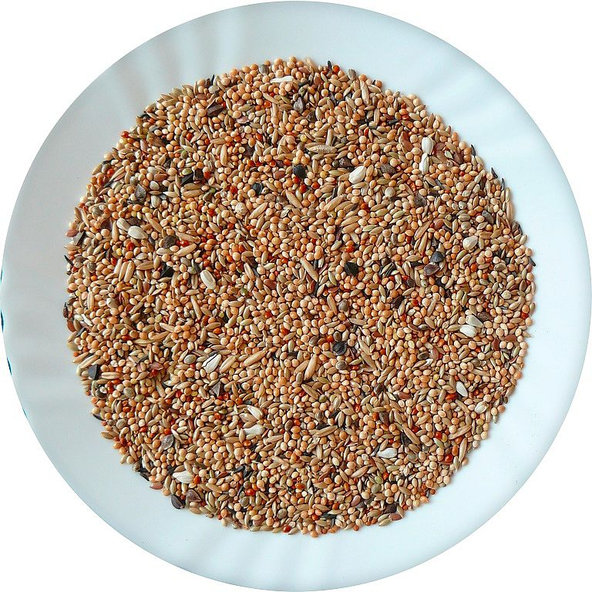 Avicentra drobný Exot Premium zmes 20 kg