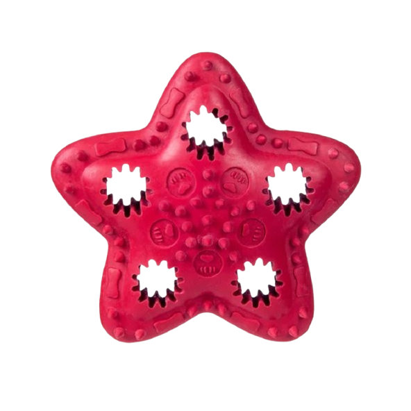 Barry King hračka pre psy - hviezda na maškrty červená 12,5cm