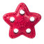 Barry King hračka pre psy - hviezda na maškrty červená 12,5cm