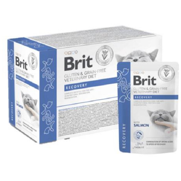Brit VD Gluten & Grain-Free Cat Pouch Fillets in Gravy Recovery kapsičky pre mačky 12x85g