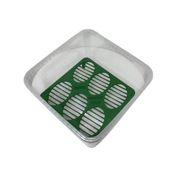 INCUBATION BOX L inkubačný box pre vajcia plazov a jašterov 190x190x110 mm