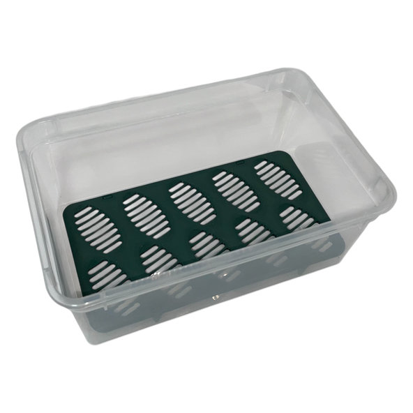 INCUBATION BOX M inkubačný box pre vajcia plazov a jašterov 190x120x75 mm