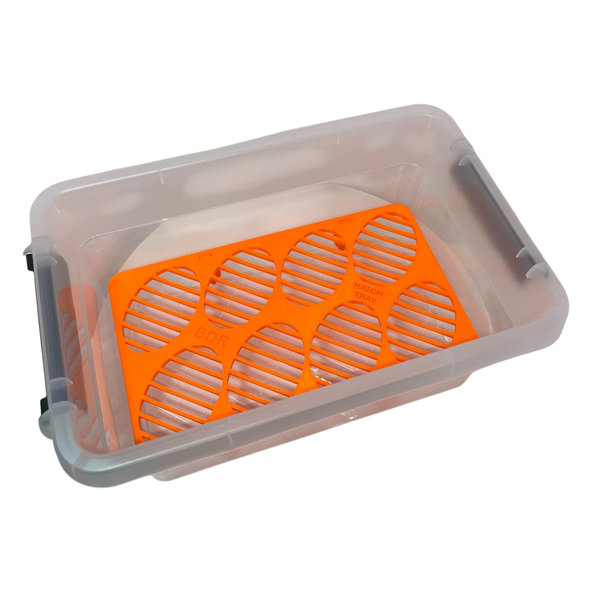 INCUBATION BOX XL inkubačný box pre vajcia plazov a jašterov 275x185x120 mm