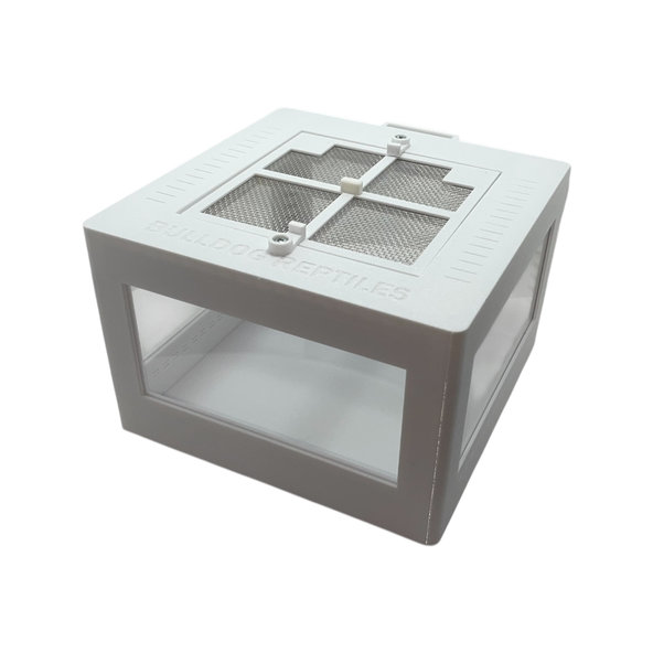 Terárium pre pavúky a hmyz CUBE biela 150x150x100 mm