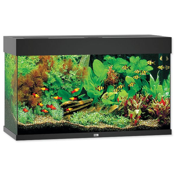 Akvarijný set Juwelt Rio LED 125 čierny 81x36x50cm 125l