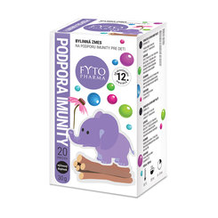 FYTO Pharma Bylinná zmes NA PODPORU IMUNITY pre deti, 20x1,5g