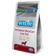Farmina Vet Life dog Intestinal ultracare granule pre psy 1,5kg
