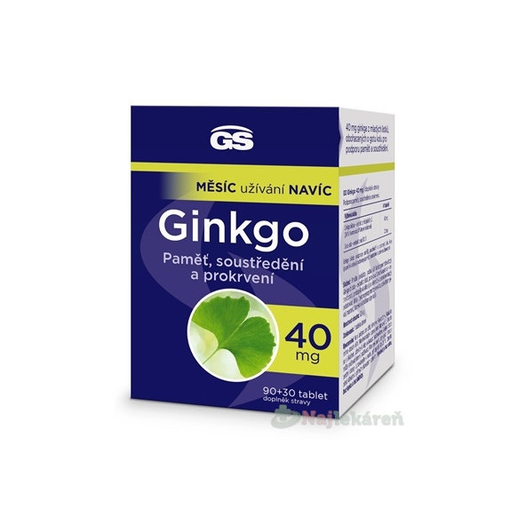 GS Ginkgo (s Gotu kola) na pamäť, sústredenie a prekrvenie 90+30 zadarmo (120tbl)