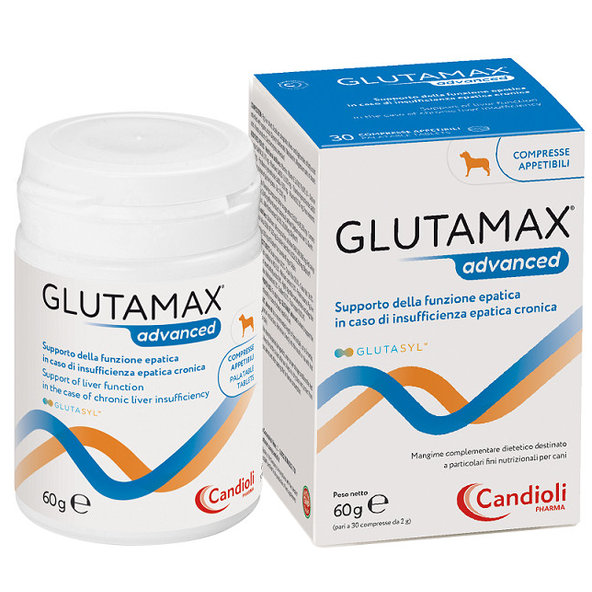 GlutaMax ADVANCED na ochranu pečene pre psy 12x10tbl