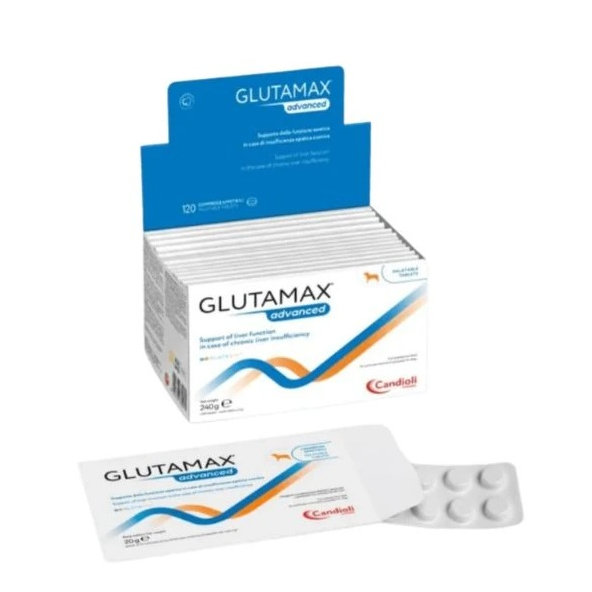 GlutaMax ADVANCED na ochranu pečene pre psy 12x10tbl