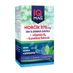 IQ Mag Magnesium 375 mg + B6 + kyselina listová 60 kapsúl