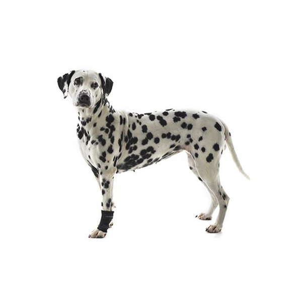 KRUUSE Rehab chránič karpálneho kĺbu pre psy veľ. M