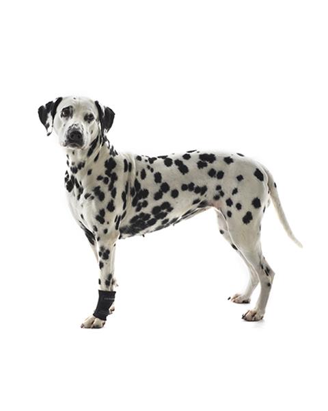 KRUUSE Rehab chránič karpálneho kĺbu pre psy veľ. M