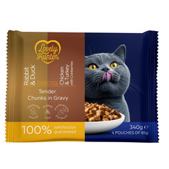 LOVELY HUNTER cat adult serilised wet set kapsička pre mačky 4x85 g