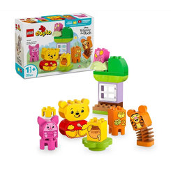 LEGO Duplo Narodeninová oslava Macka Pú 10457