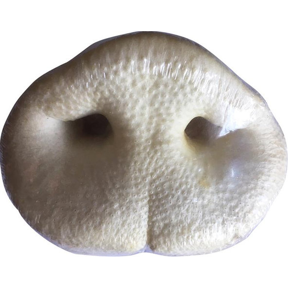 Maškrta pre psy Jack bravčový rypák biely 1ks