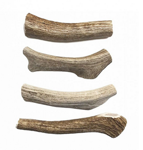 Maškrta jelení paroh celý L 81-120 g alebo dlhší ako 12 cm