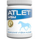 Atlet MSM plv. 700 g