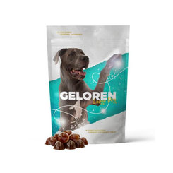 Geloren DOG L–XL žuvacie tablety 420g (60ks)