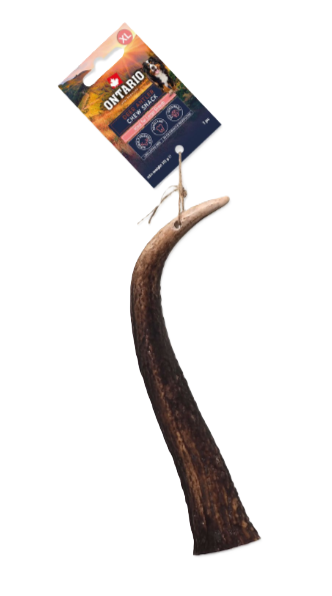 Ontario Paroh jelení pre psy XL