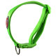 Pet Nova nylónový obojok pre psy S, zelený
