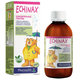 Pharmalife ECHINAX Galenika koncentrovaná tekutina 200ml