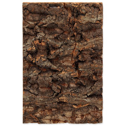 Pozadie Repti Planet korok prírodný 19x12,3x2 cm