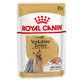 Royal Canin MV SHN MINI YORKSHIRE kapsička pre psy 85 g