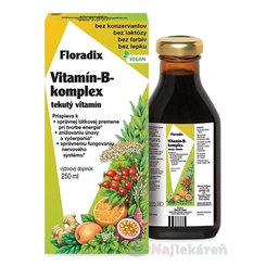 SALUS Floradix Vitamín-B-komplex tekutý vitamín 250ml