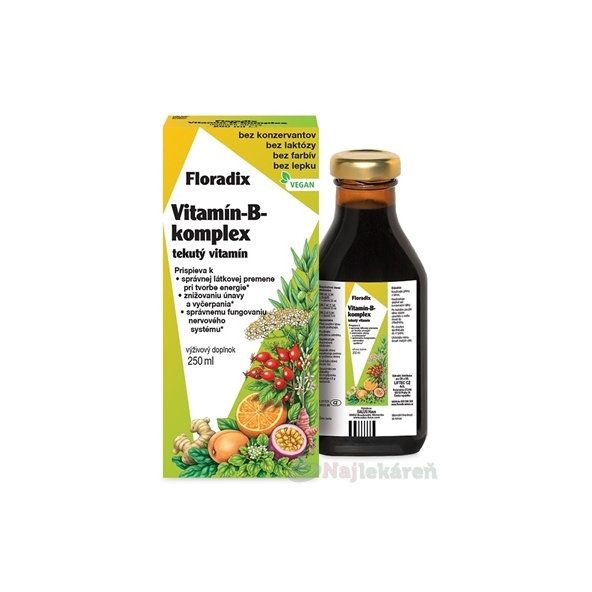SALUS Floradix Vitamín-B-komplex tekutý vitamín 250ml