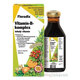 SALUS Floradix Vitamín-B-komplex tekutý vitamín 250ml