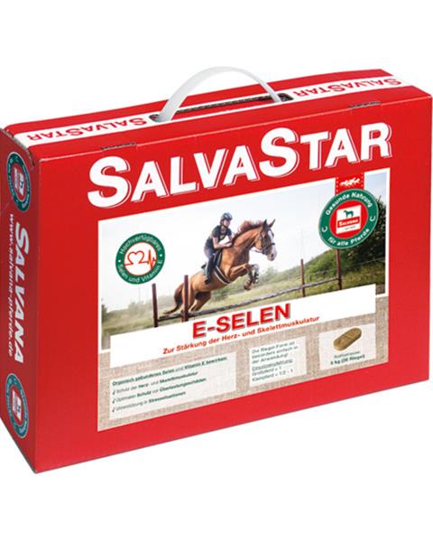 SALVASTAR E-SELEN pre kone 5 kg (brikety)