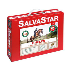 SALVASTAR E-SELEN pre kone 5 kg (brikety)